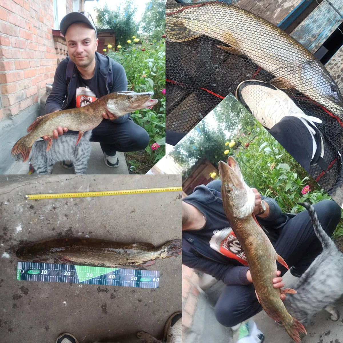 BIUTIFU Carbon Carp Surfcasting Fishing Rod