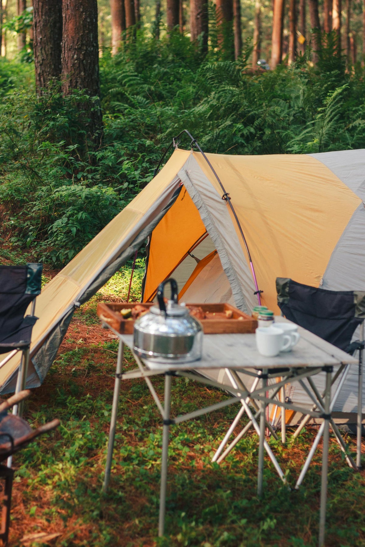 Camping & Hiking Gear