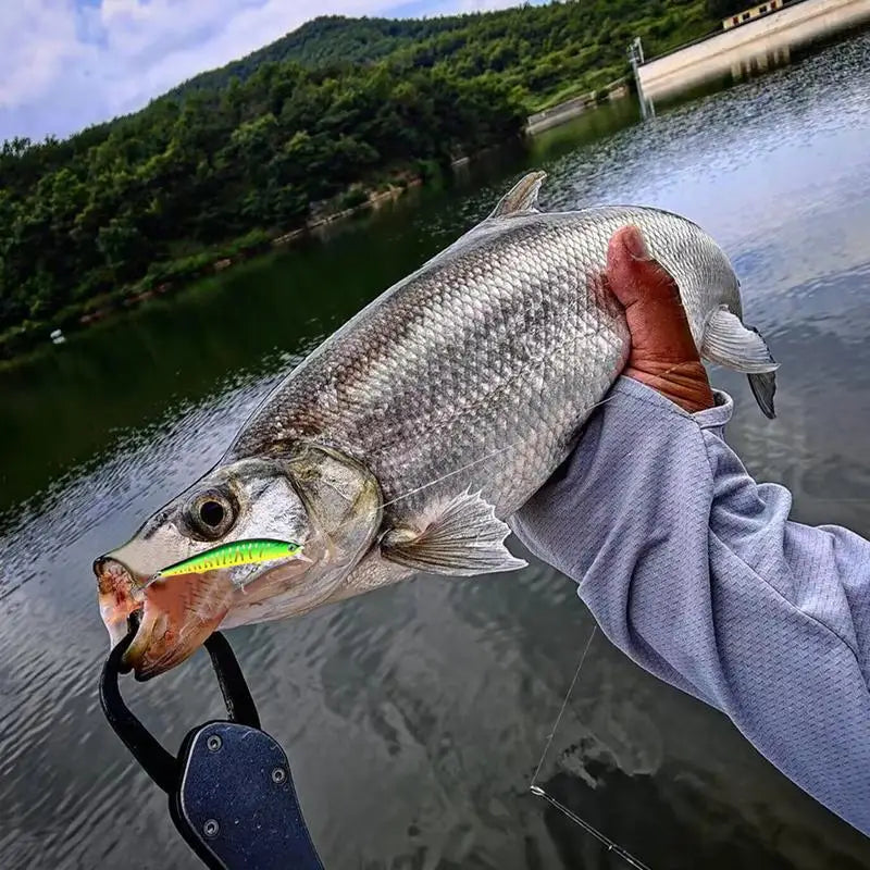 Freshwater Bass Spinnerbait Swimbait Tackle Kit