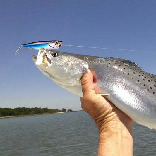 Freshwater Bass Spinnerbait Swimbait Tackle Kit